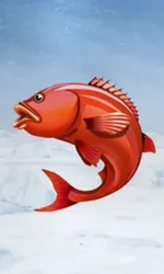 Ice Fishing